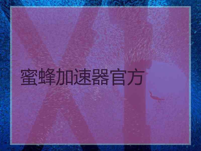 蜜蜂加速器官方