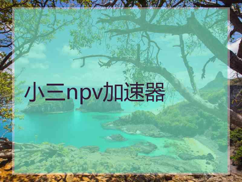 小三npv加速器