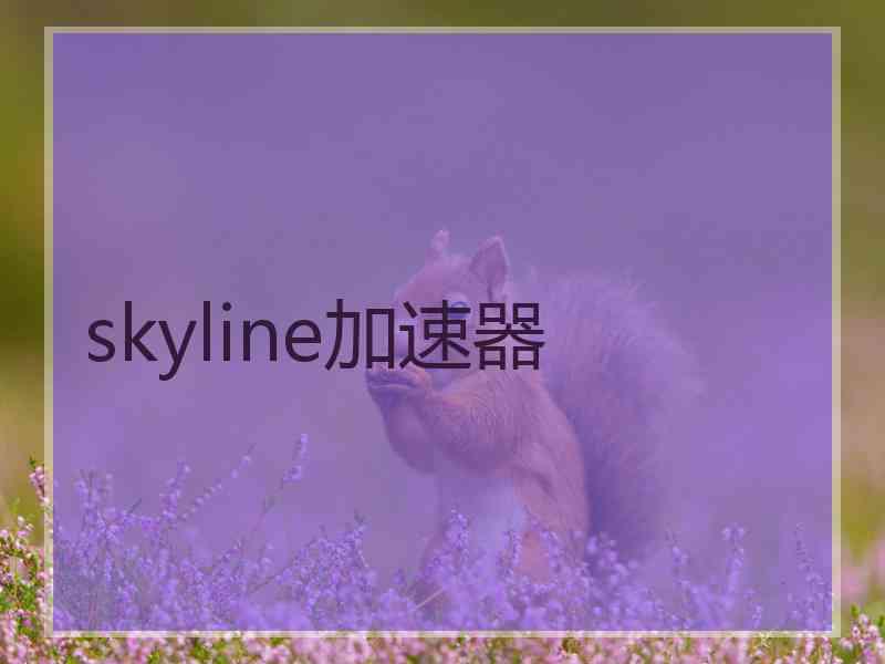 skyline加速器