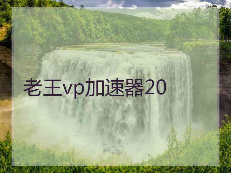 老王vp加速器20