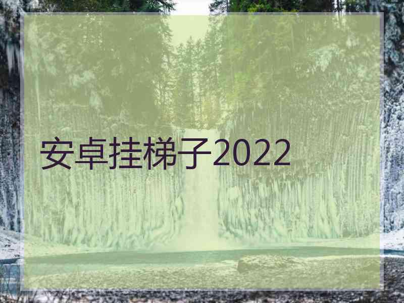 安卓挂梯子2022