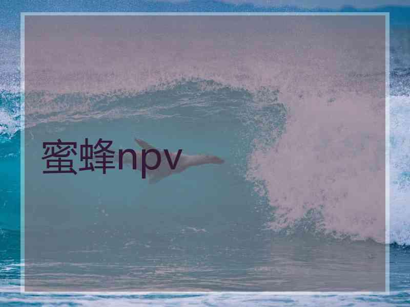 蜜蜂npv