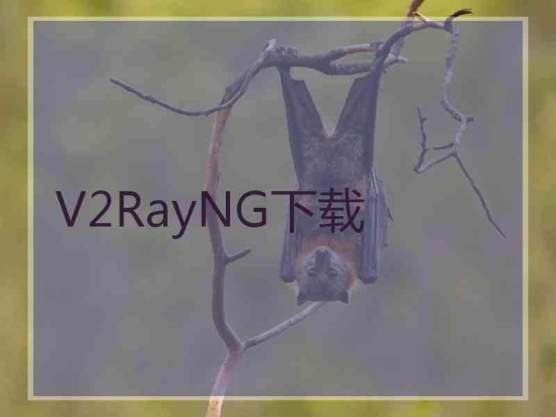 V2RayNG下载