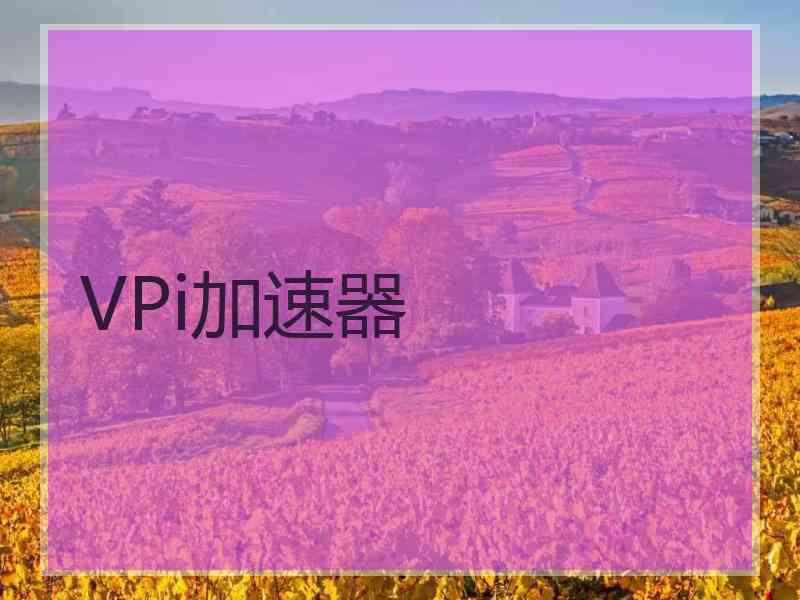 VPi加速器