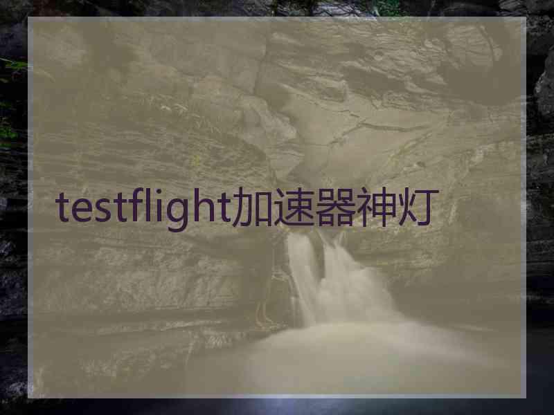 testflight加速器神灯