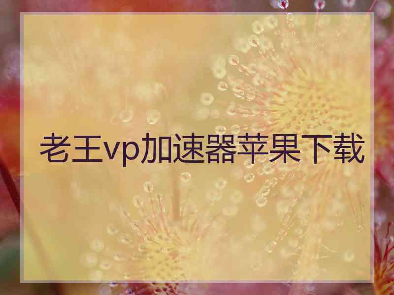 老王vp加速器苹果下载