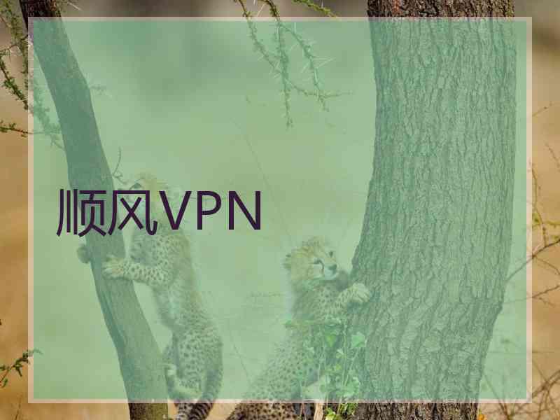 顺风VPN