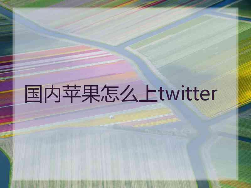 国内苹果怎么上twitter