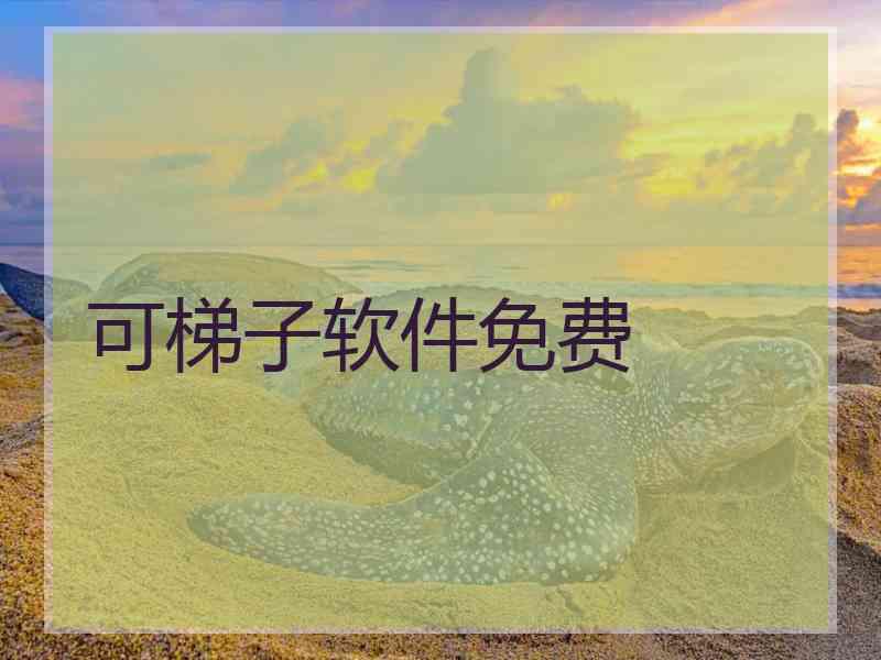 可梯子软件免费