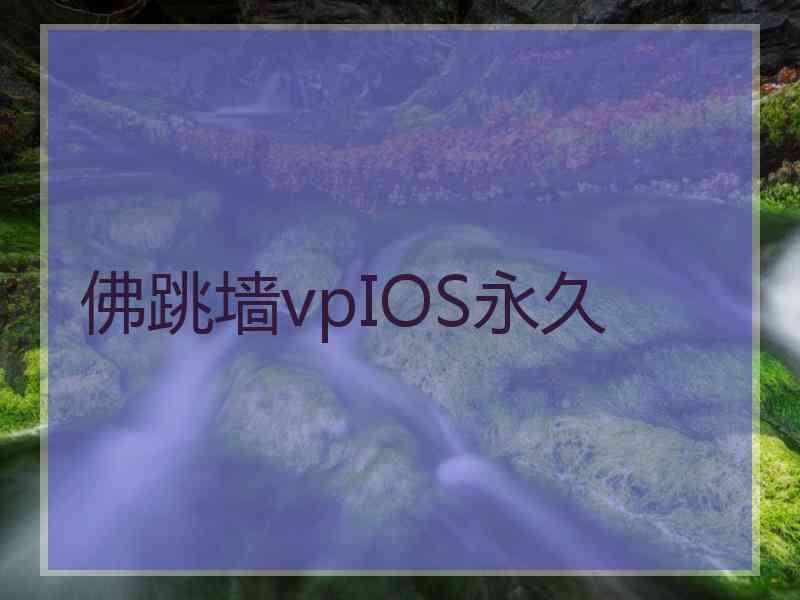 佛跳墙vpIOS永久