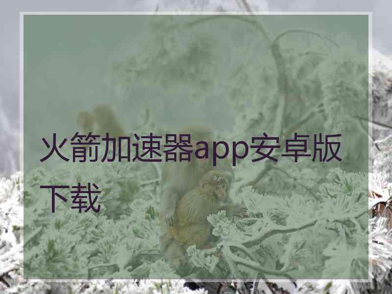 火箭加速器app安卓版下载