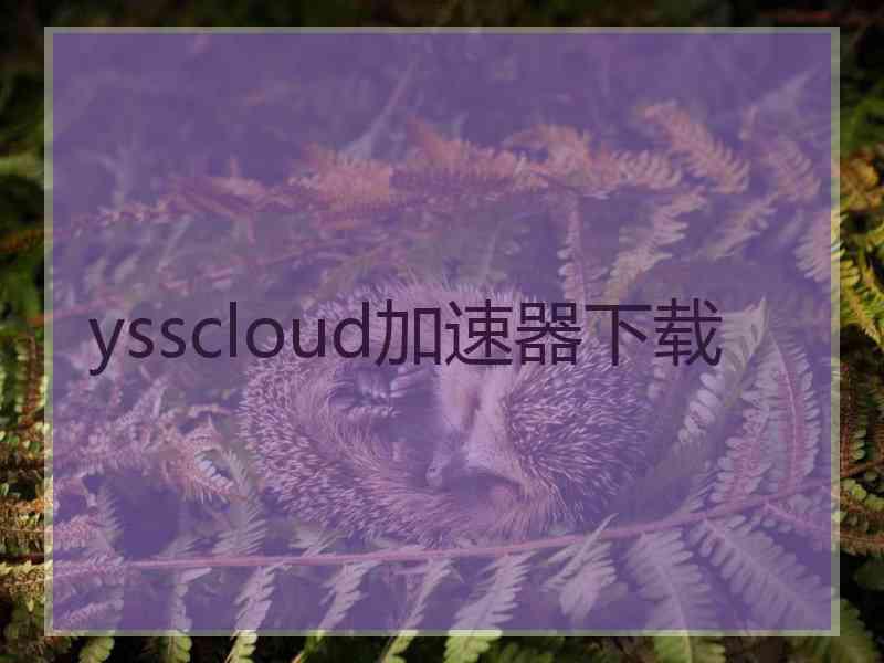 ysscloud加速器下载