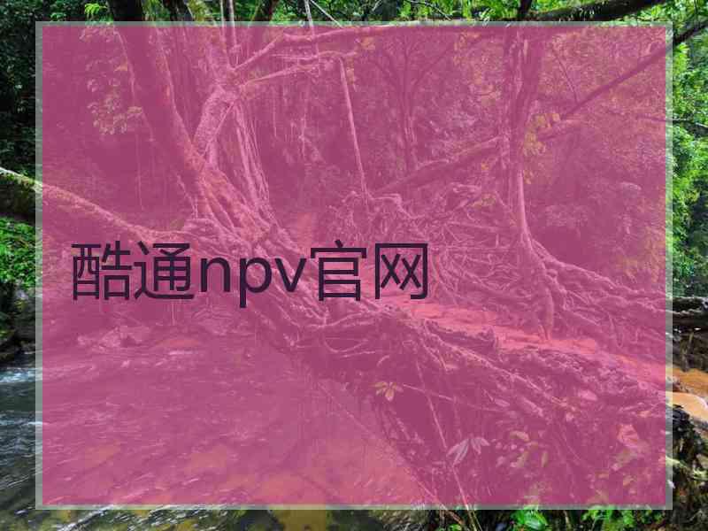 酷通npv官网