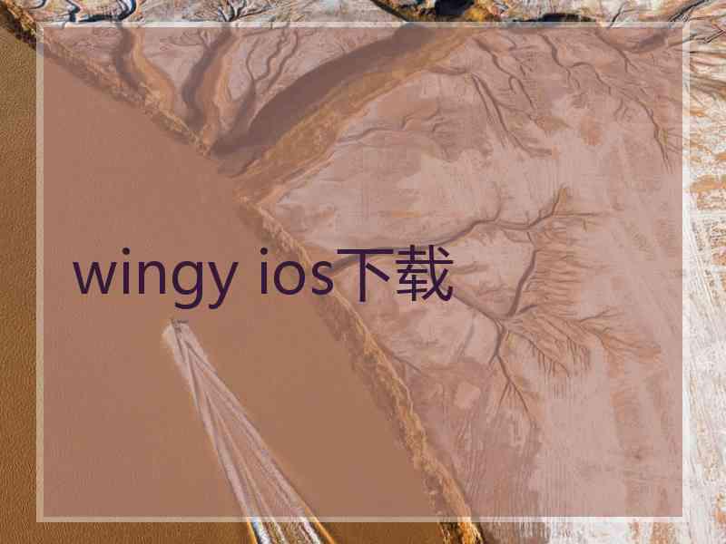 wingy ios下载