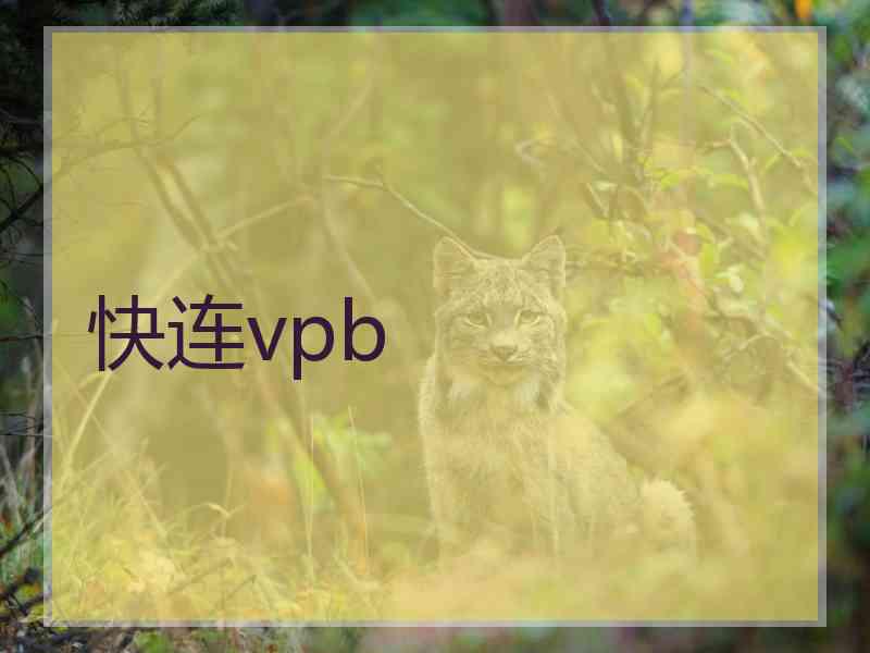 快连vpb