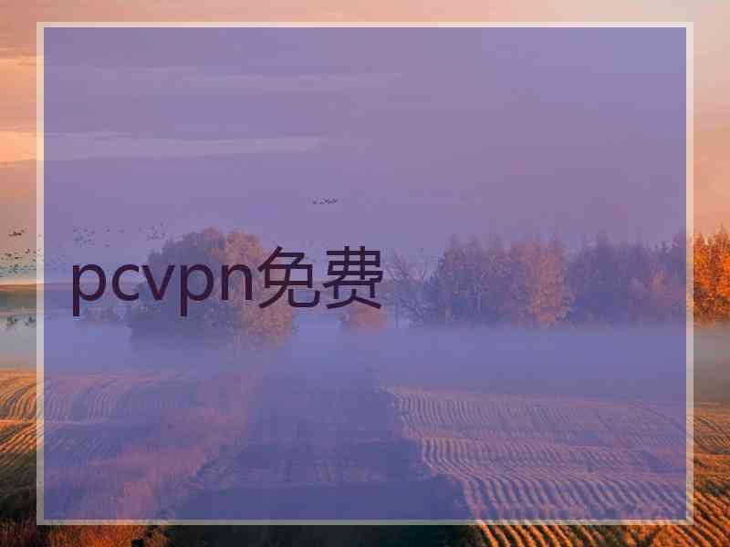 pcvpn免费