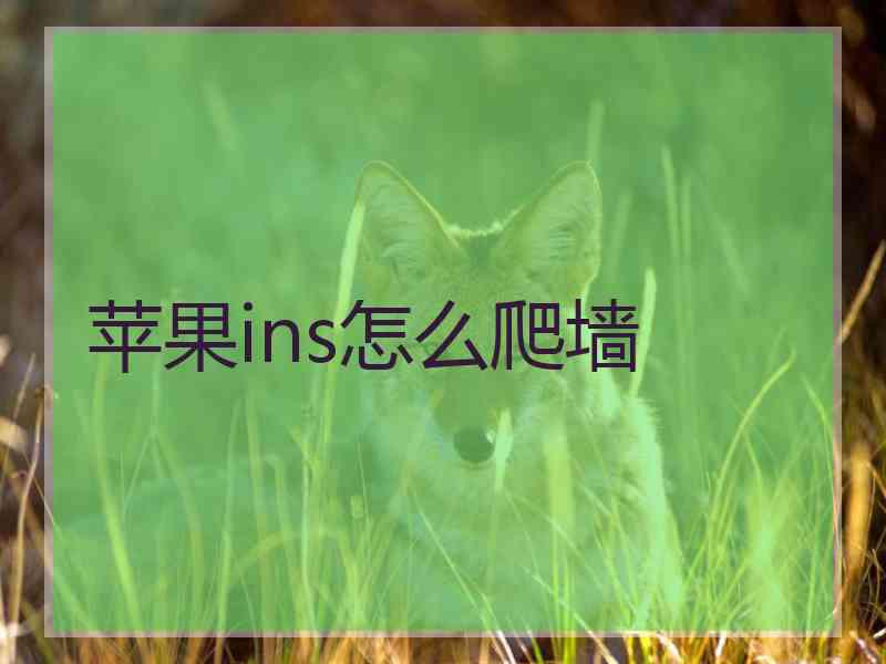 苹果ins怎么爬墙