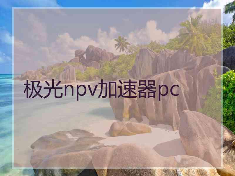 极光npv加速器pc