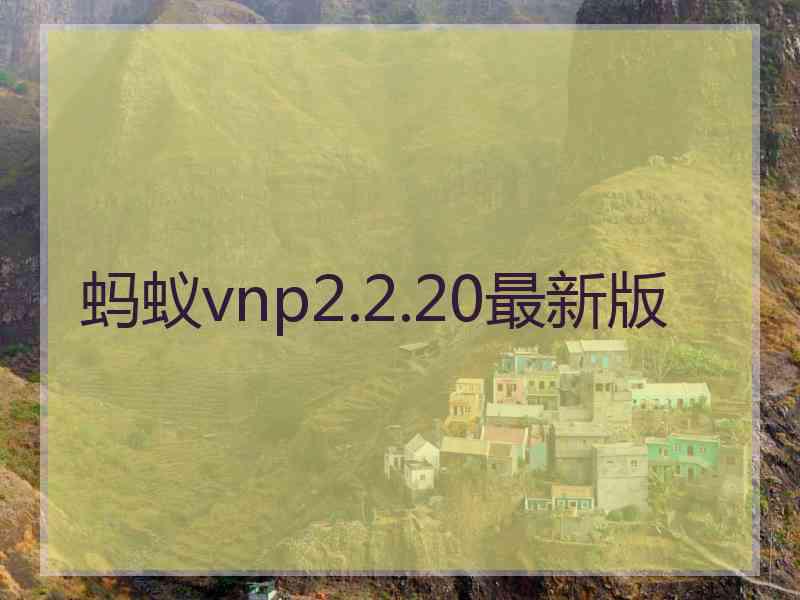 蚂蚁vnp2.2.20最新版