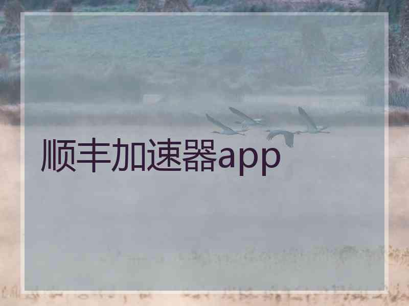 顺丰加速器app