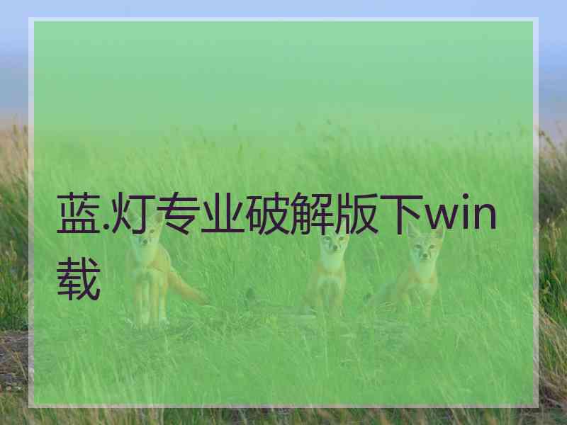 蓝.灯专业破解版下win载