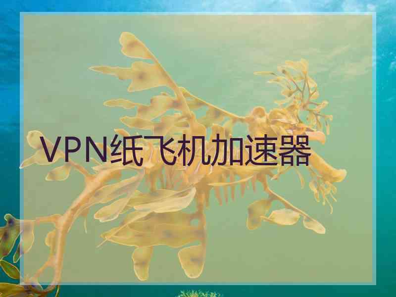 VPN纸飞机加速器