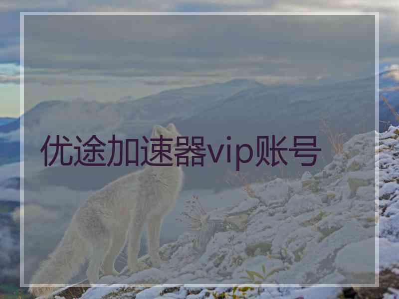 优途加速器vip账号