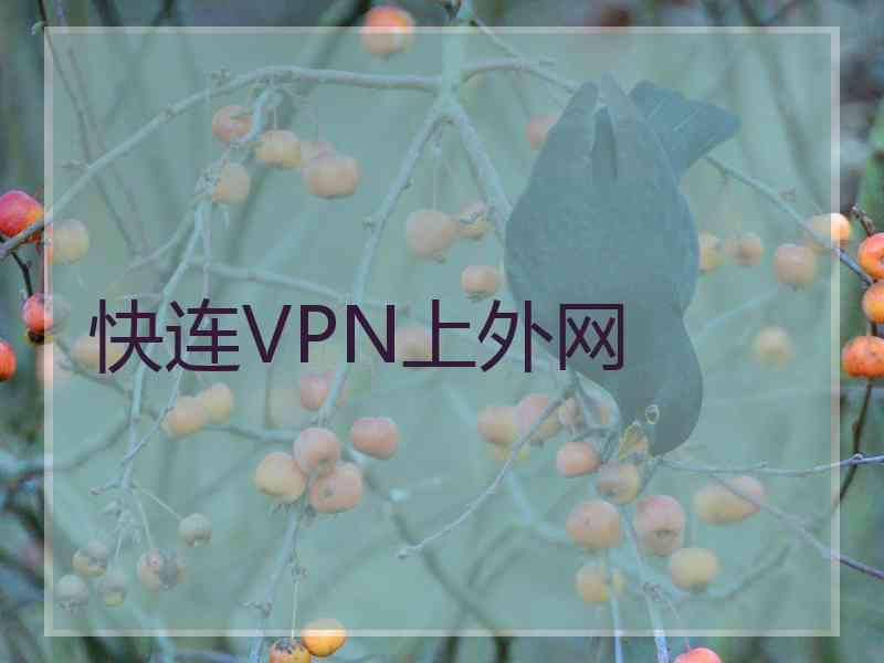 快连VPN上外网