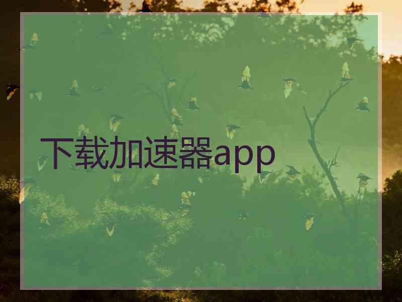 下载加速器app