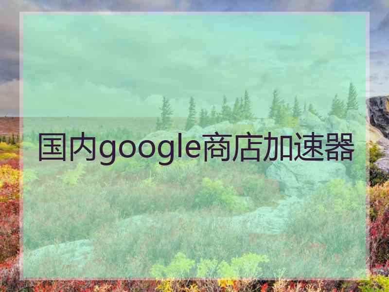 国内google商店加速器