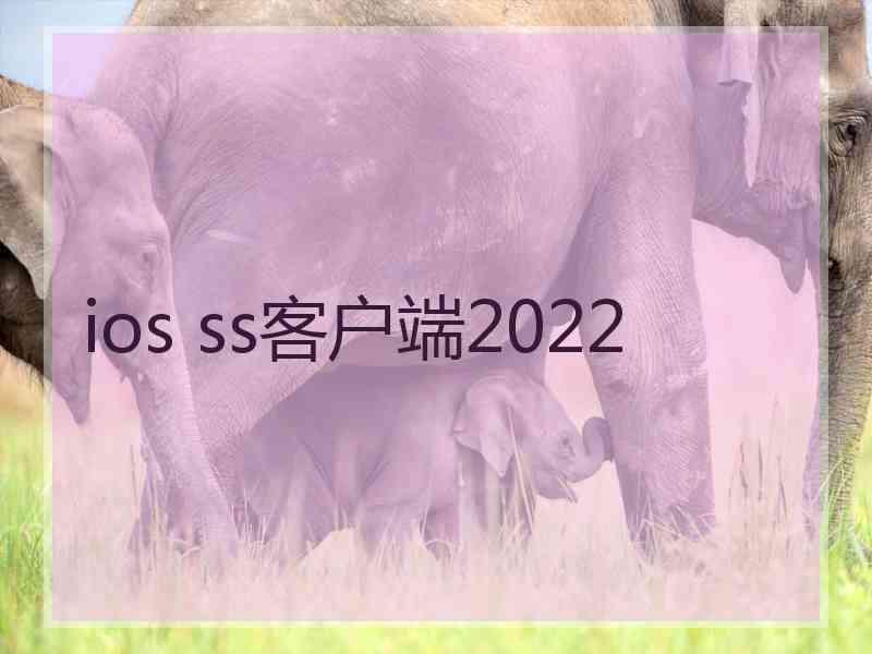 ios ss客户端2022