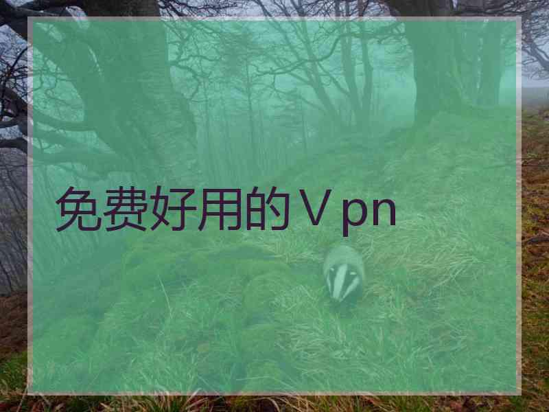 免费好用的Ⅴpn