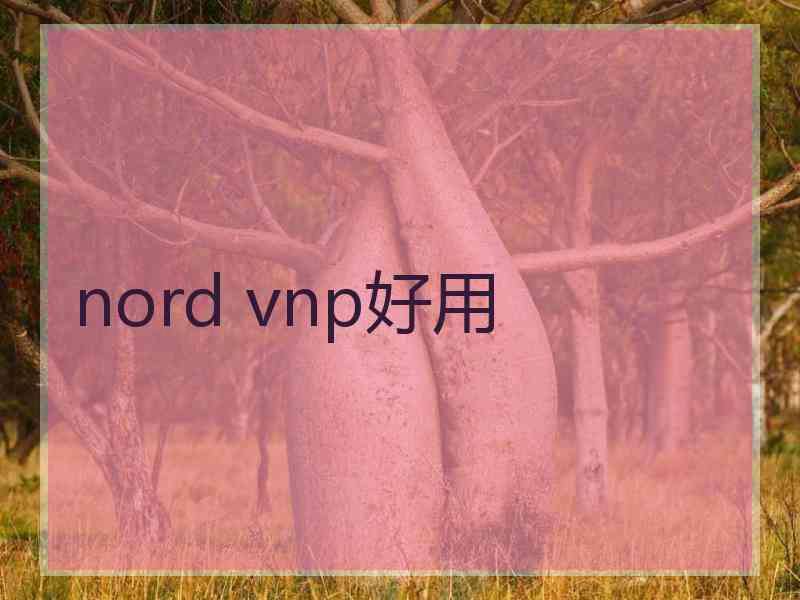 nord vnp好用