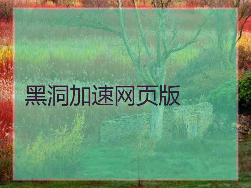 黑洞加速网页版