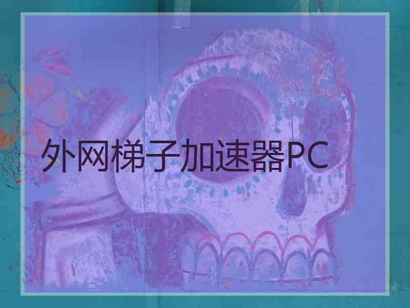 外网梯子加速器PC