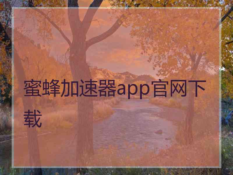 蜜蜂加速器app官网下载