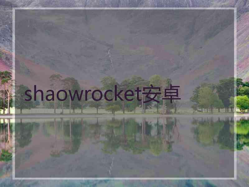 shaowrocket安卓