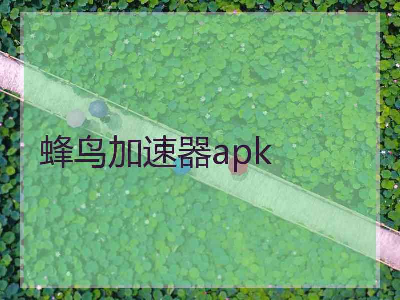 蜂鸟加速器apk