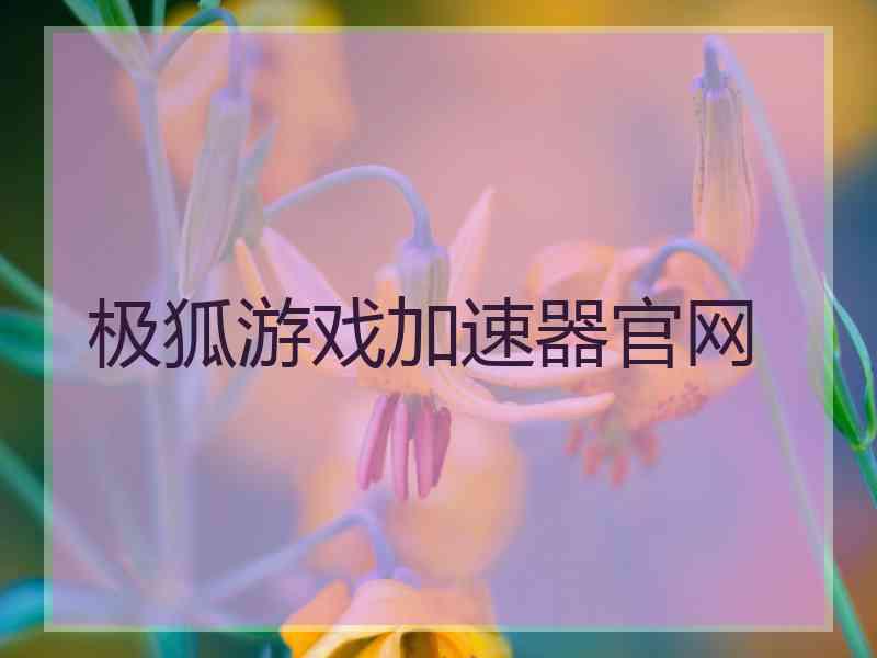 极狐游戏加速器官网