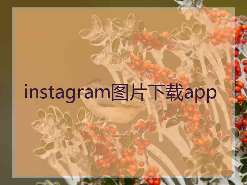 instagram图片下载app