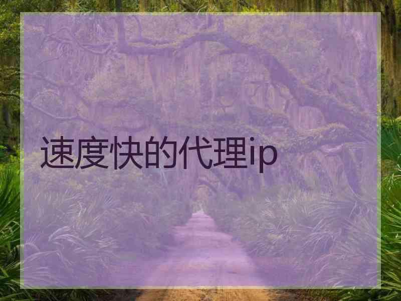 速度快的代理ip