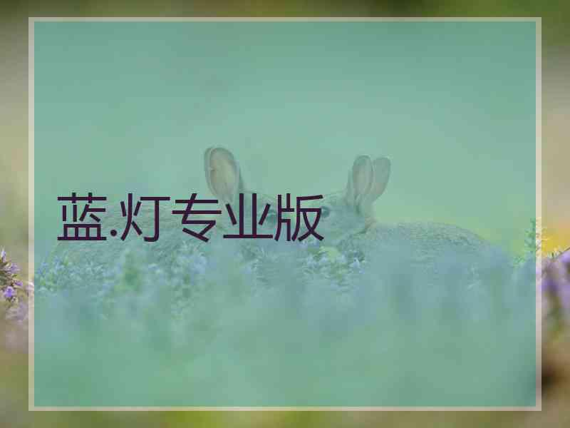 蓝.灯专业版