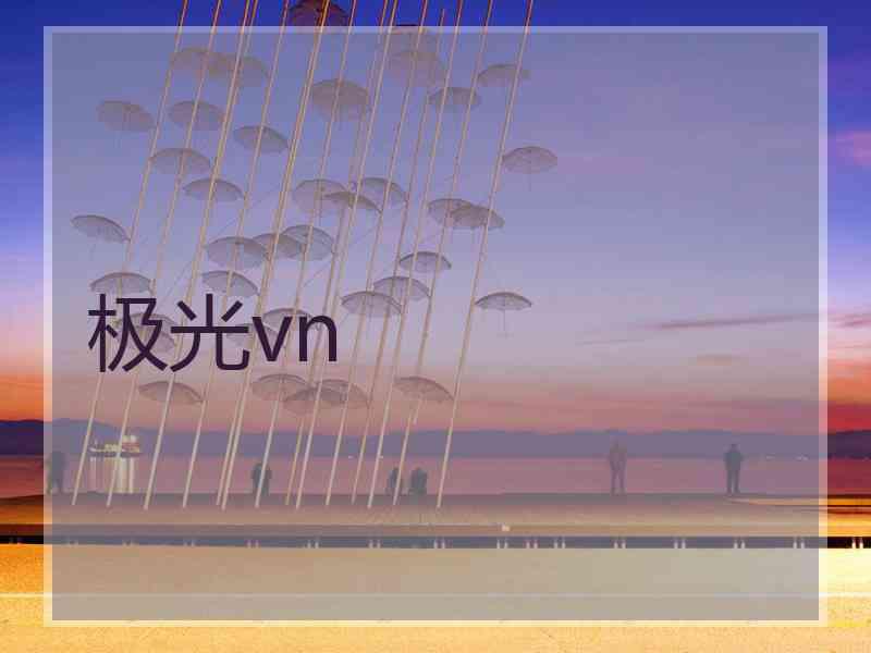 极光vn