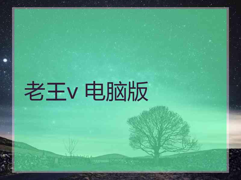 老王v 电脑版