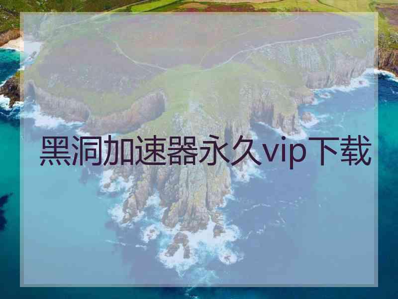 黑洞加速器永久vip下载