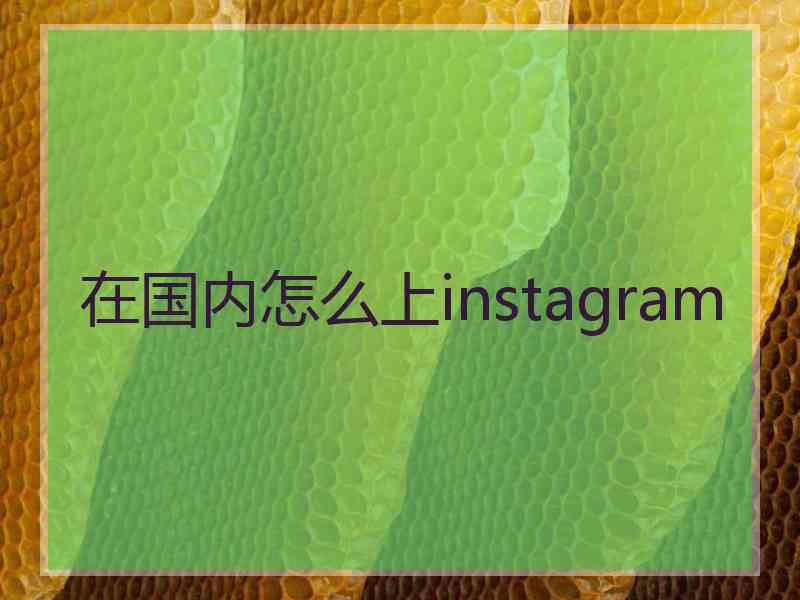 在国内怎么上instagram