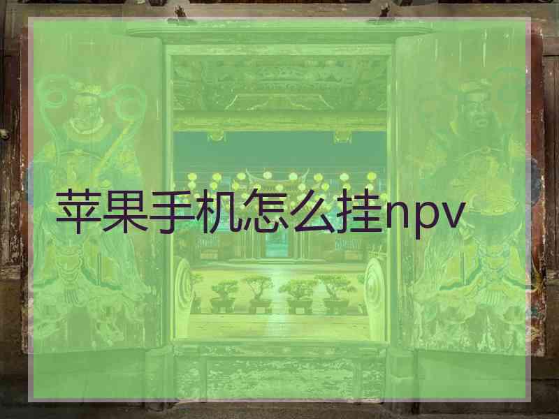 苹果手机怎么挂npv