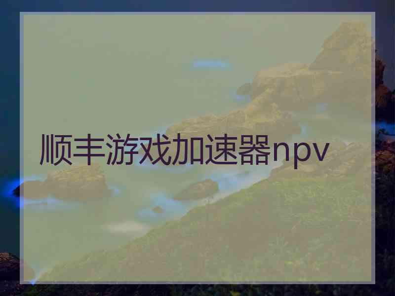 顺丰游戏加速器npv