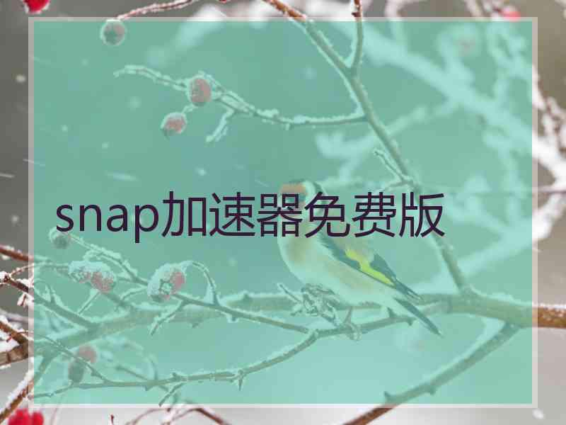 snap加速器免费版