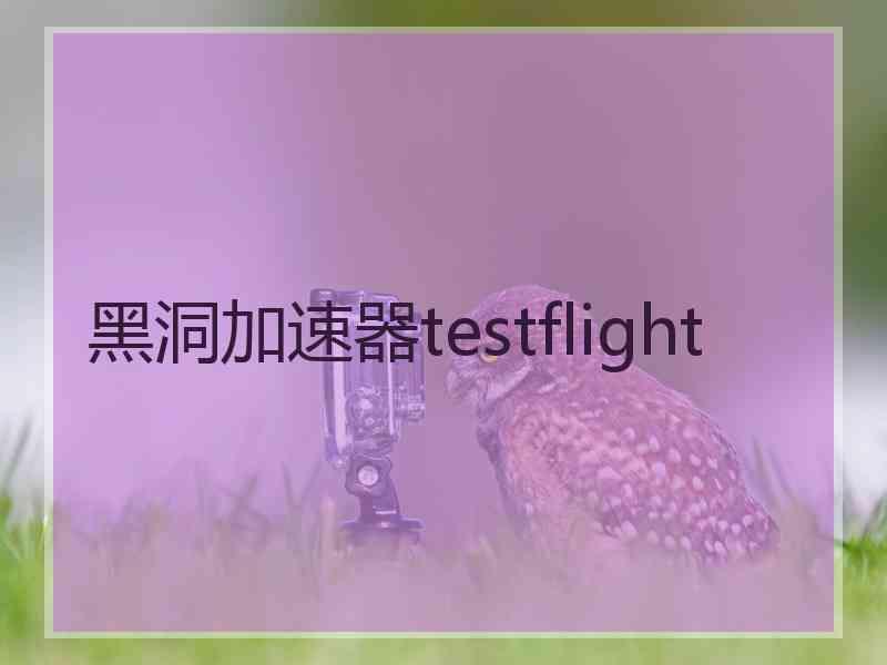 黑洞加速器testflight